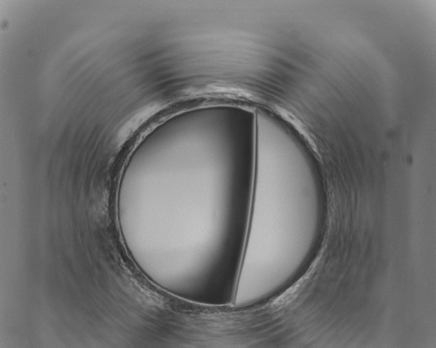 X0000090481066200707131038