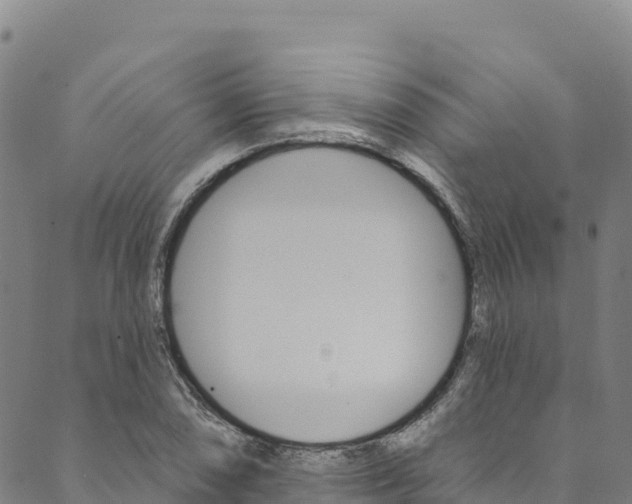 X0000090481074200707131037