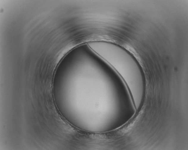 X0000090481089200707131037