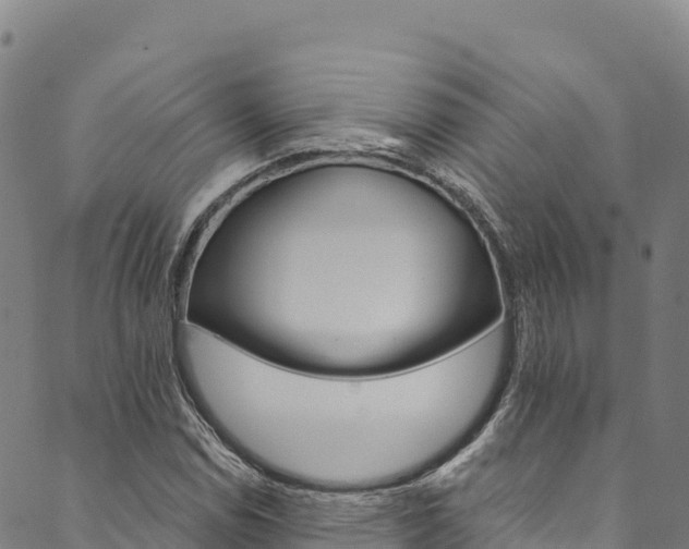 X0000090481114200707131036