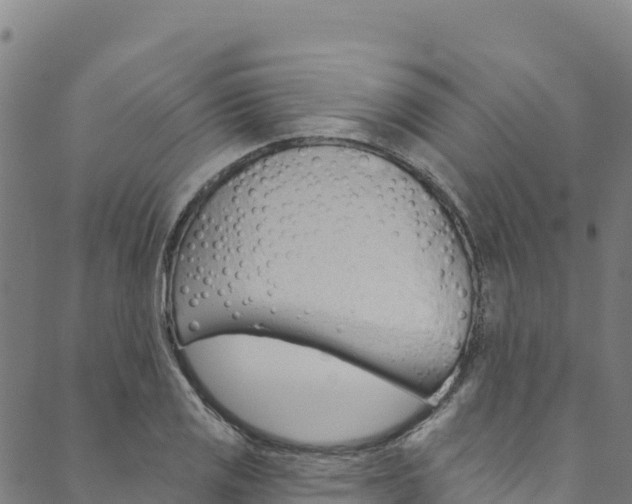 X0000090481125200707131037