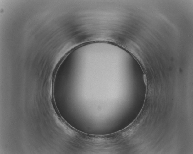 X0000090481132200707131037