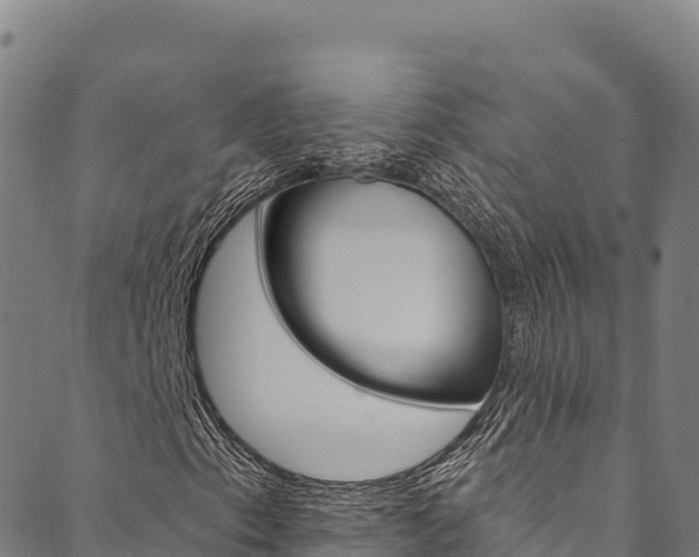 X0000090481153200707131036