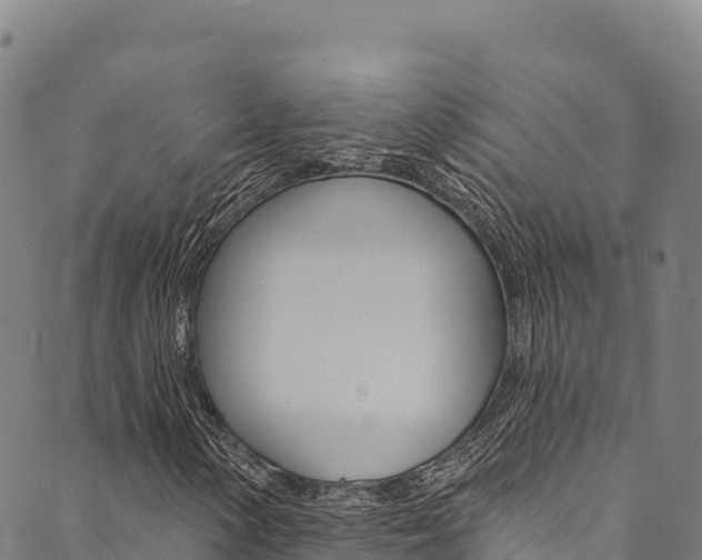 X0000090481154200707131036