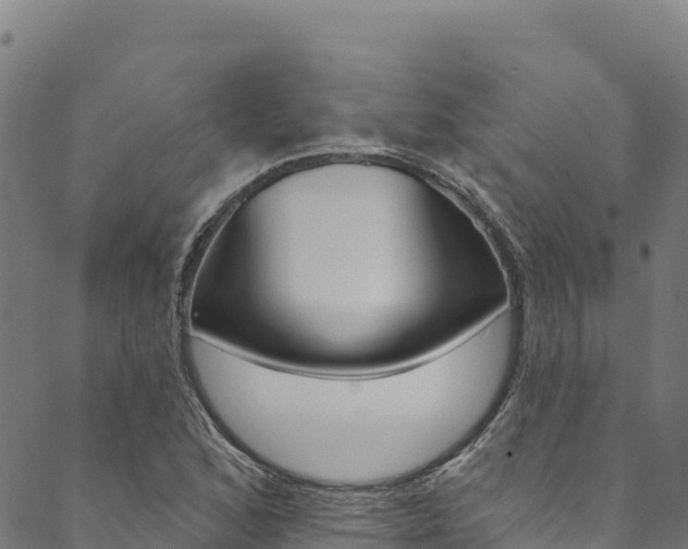 X0000090481168200707131036