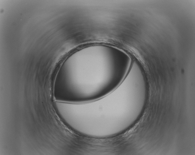 X0000090481172200707131036