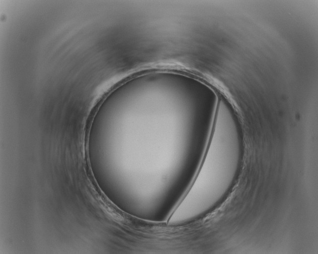 X0000090481176200707131036
