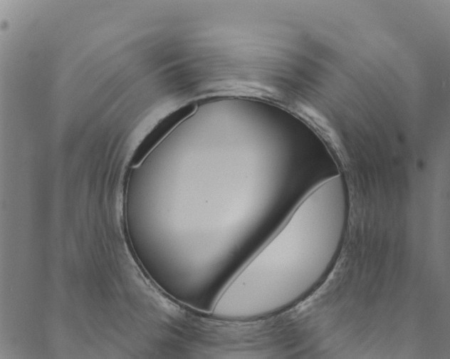 X0000090481188200707131036