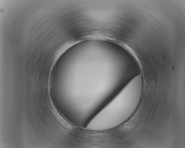 X0000090481195200707131035