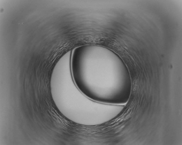 X0000090481202200707131035