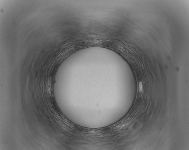 X0000090481203200707131035