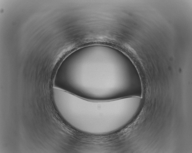 X0000090481218200707131035