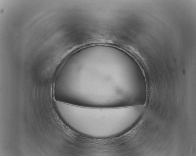 X0000090481220200707131035
