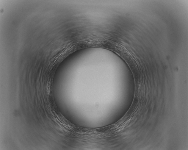 X0000090481250200707131035