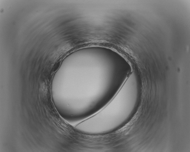X0000090481257200707131034