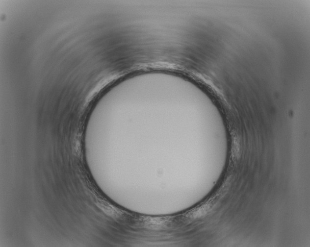 X0000090481266200707131034
