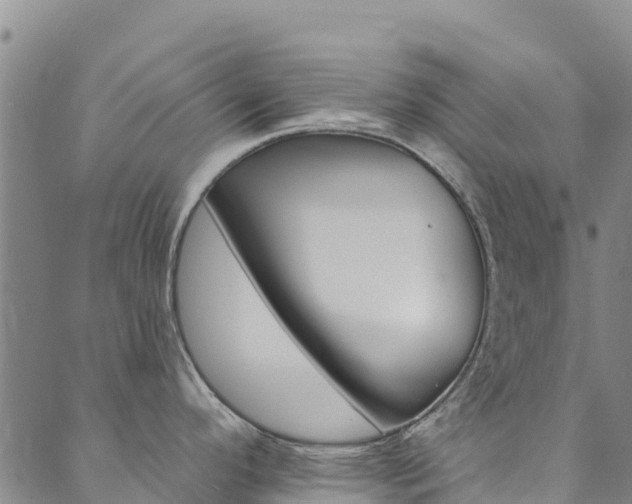X0000090481296200707131034