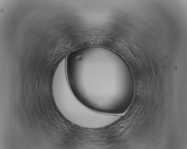 X0000090481298200707131033