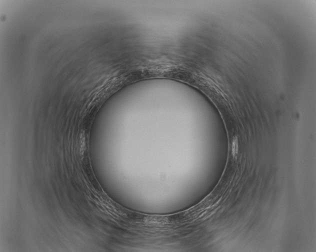 X0000090481299200707131033