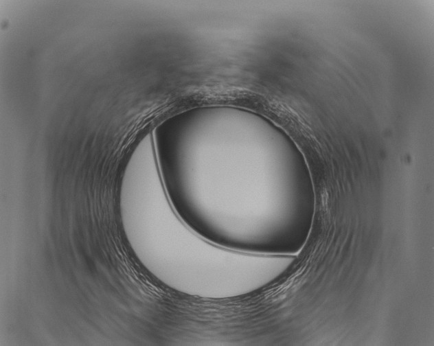 X0000090481300200707131033