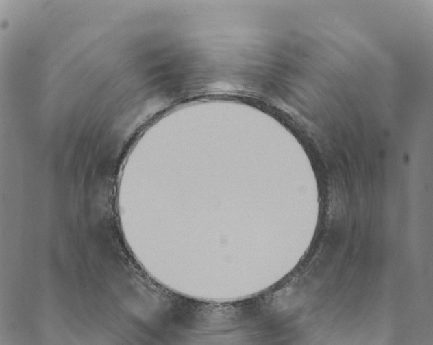 X0000090481314200707131033