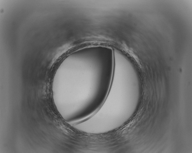 X0000090481352200707131033