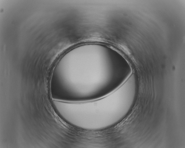 X0000090481356200707131033
