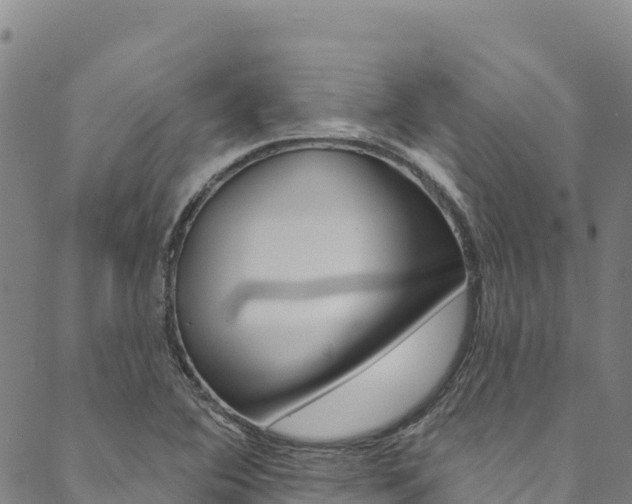 X0000090481364200707131033