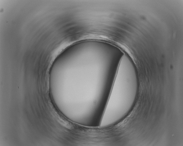 X0000090481371200707131033