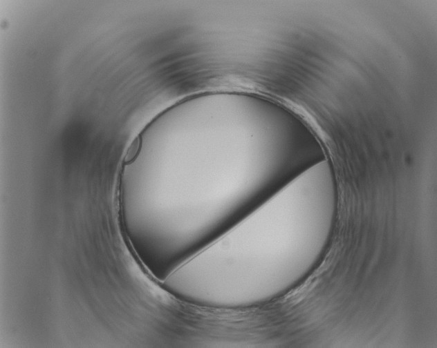 X0000090481387200707131032