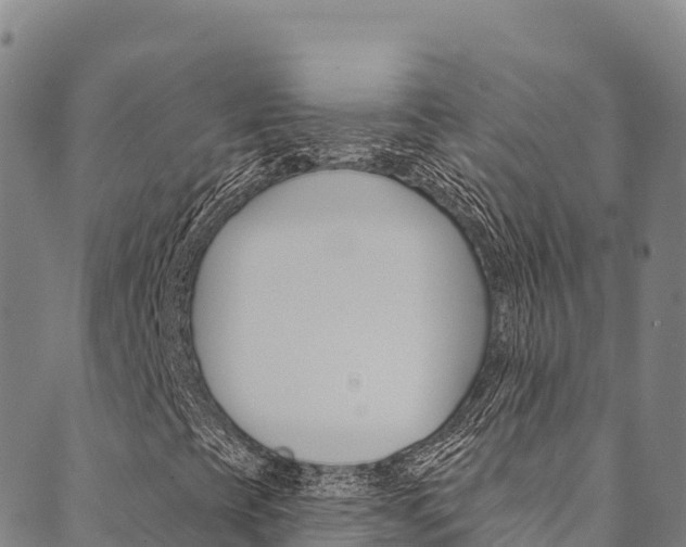 X0000090481393200707131032
