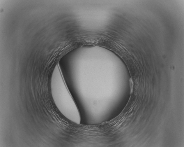 X0000090481394200707131032