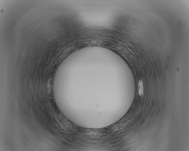 X0000090481395200707131032