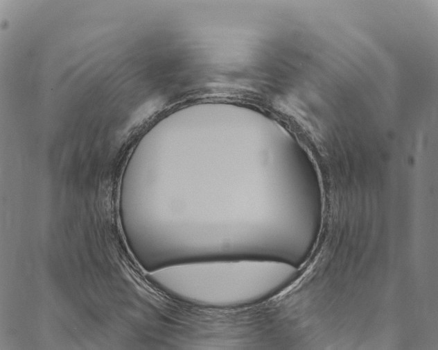 X0000090481403200707131032