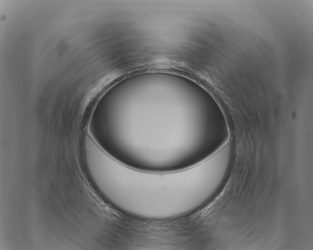 X0000090481410200707131032