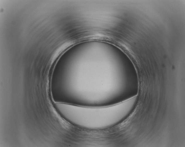 X0000090481418200707131032