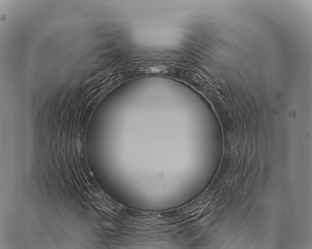X0000090481442200707131032
