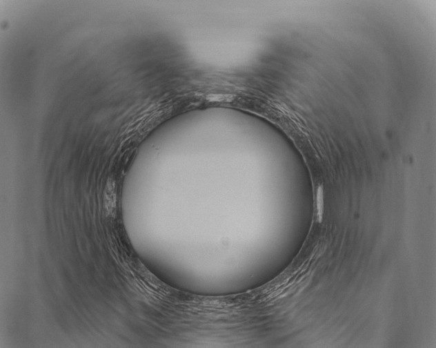 X0000090481443200707131031