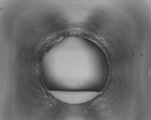 X0000090481445200707131031