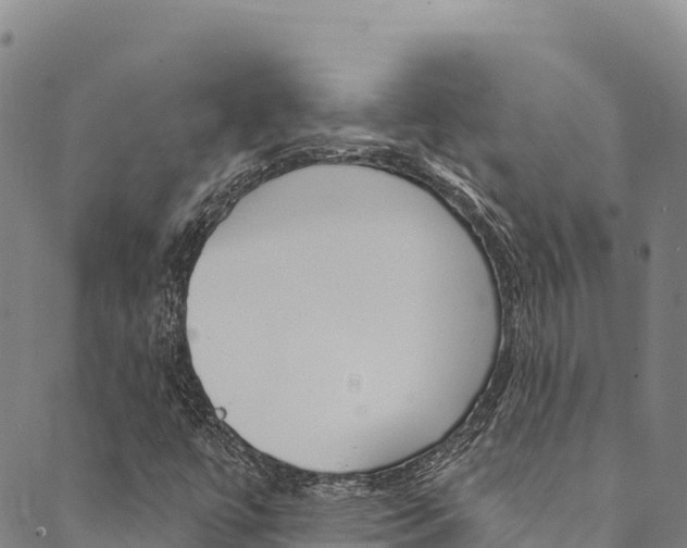 X0000090481447200707131031