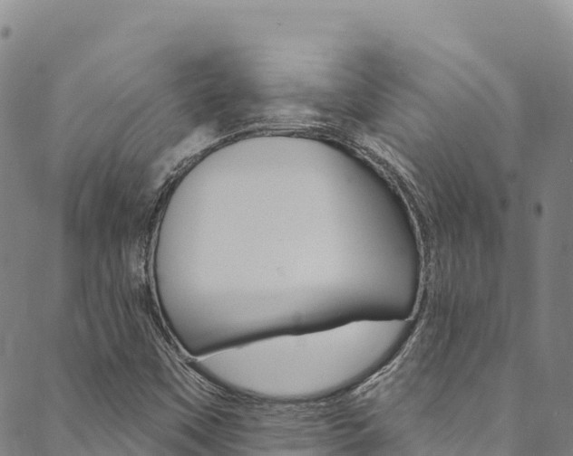 X0000090481451200707131031