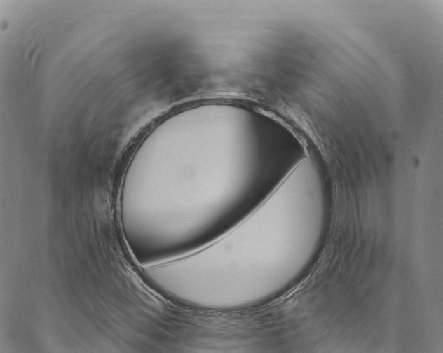 X0000090481452200707131031