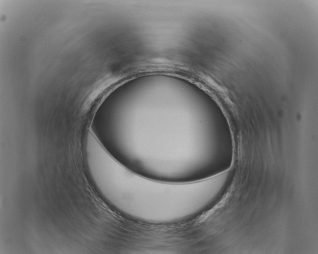 X0000090481453200707131031