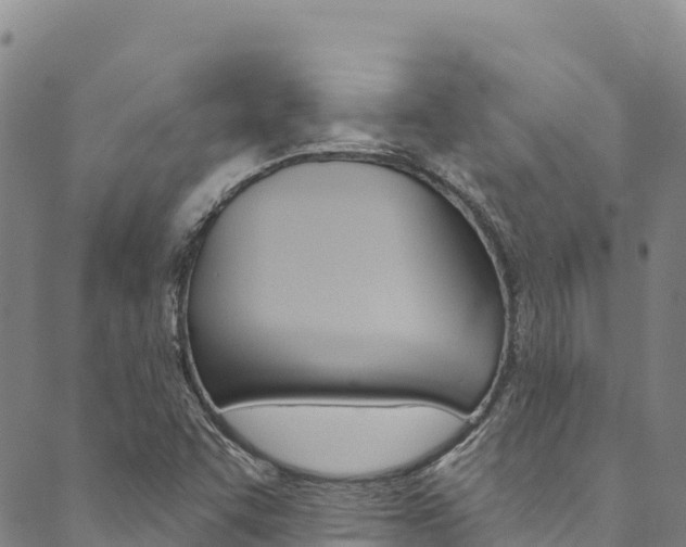 X0000090481455200707131031
