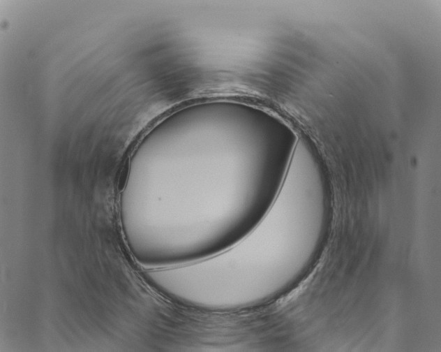 X0000090481457200707131031