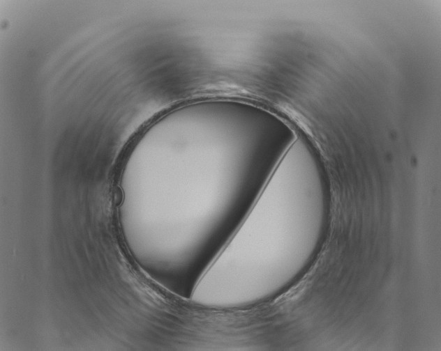 X0000090481458200707131031