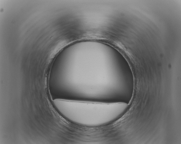 X0000090481459200707131031