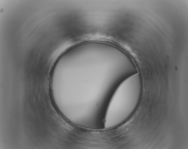 X0000090481463200707131031