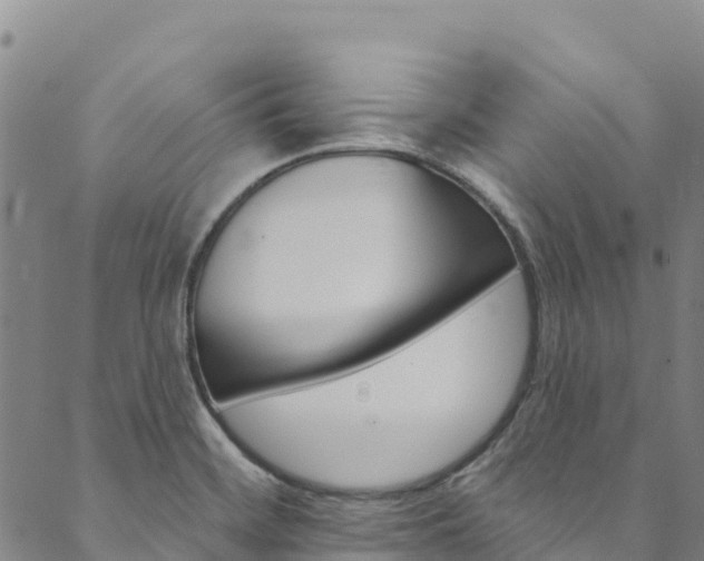 X0000090481468200707131031