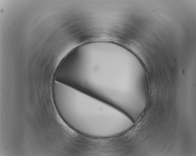 X0000090481476200707131031